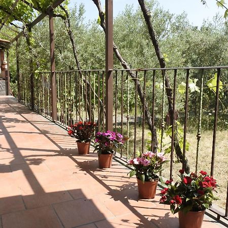 Casa Vacanza Etna Evergreen Villa Piedimonte Etneo Kültér fotó