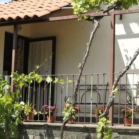 Casa Vacanza Etna Evergreen Villa Piedimonte Etneo Kültér fotó