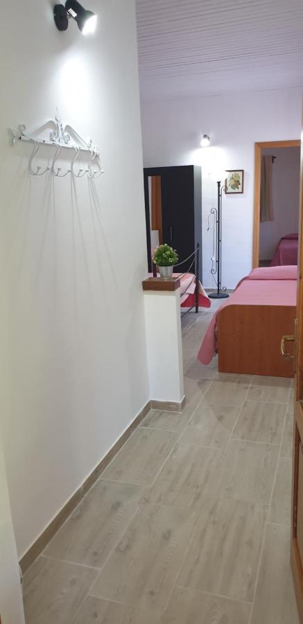 Casa Vacanza Etna Evergreen Villa Piedimonte Etneo Kültér fotó