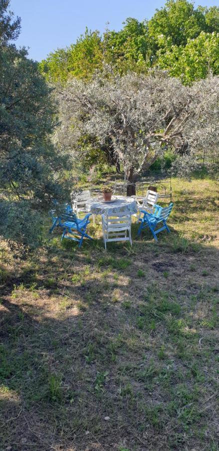 Casa Vacanza Etna Evergreen Villa Piedimonte Etneo Kültér fotó