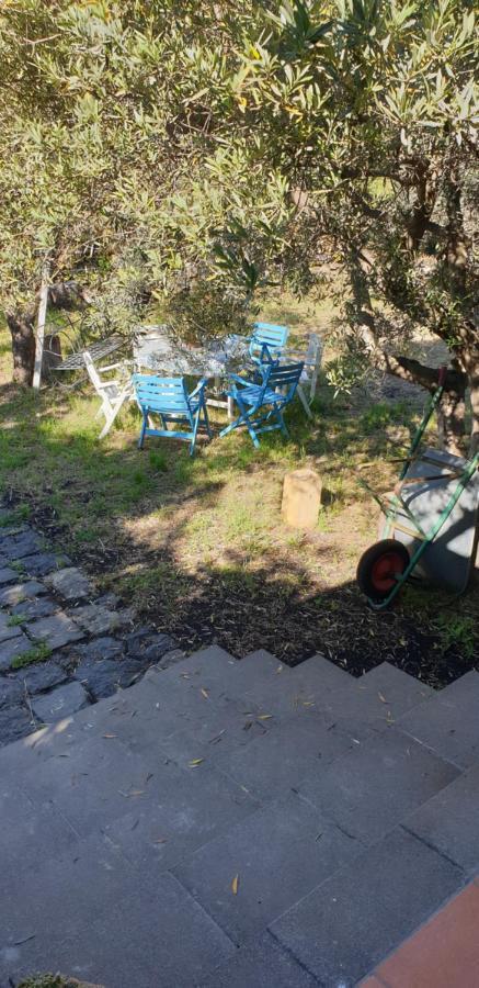 Casa Vacanza Etna Evergreen Villa Piedimonte Etneo Kültér fotó