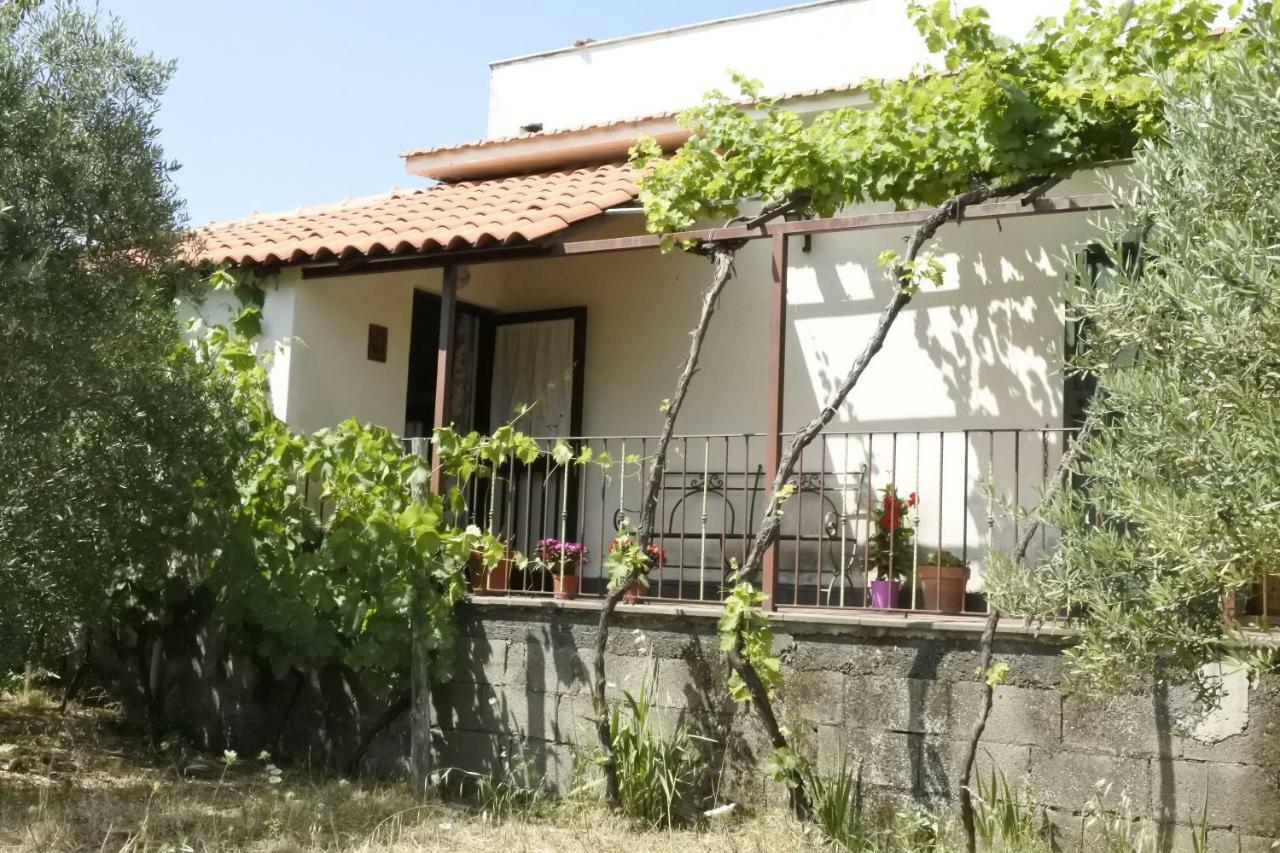 Casa Vacanza Etna Evergreen Villa Piedimonte Etneo Kültér fotó