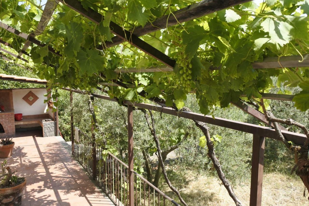 Casa Vacanza Etna Evergreen Villa Piedimonte Etneo Kültér fotó