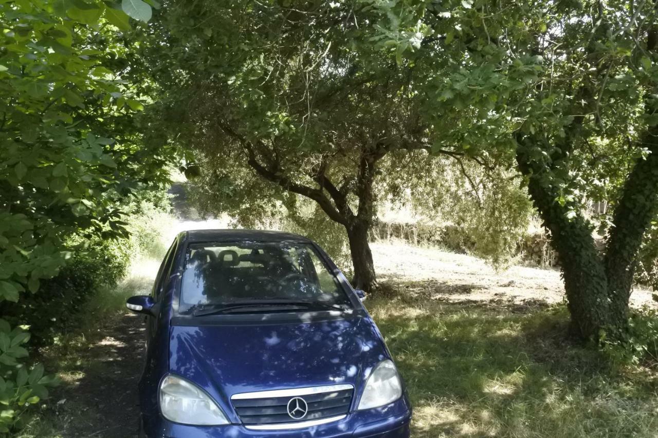 Casa Vacanza Etna Evergreen Villa Piedimonte Etneo Kültér fotó